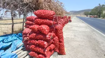 Nurdağı'nda Çiftçi Harun İbili, Soğan Hasadını Yol Kenarında Satışa Sunuyor