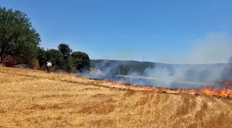 Çanakkale'de Anız Yangını Kontrol Altına Alındı
