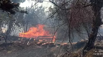 Çanakkale Gelibolu'da Anız Yangını Söndürüldü