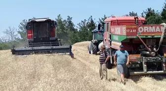 Gelibolu'da Yangın İhtimaline Karşı Biçerdöverle Hasat