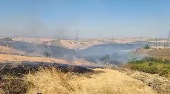 Çanakkale'nin Gelibolu'unda Tarım Arazisinde Yangın Çıktı