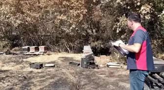 Gelibolu'da Yangın Sonrası Hasar Tespit Çalışmaları Başladı