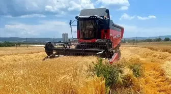 Gelibolu'da İlk Arpa Hasadı Yapıldı