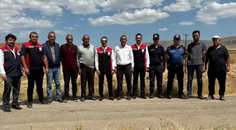 Sivas'ın Gemerek ilçesinde buğday hasadı başladı