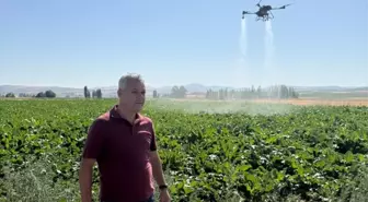 Sivas'ta Dronla Şeker Pancarı İlaçlaması Gerçekleşti