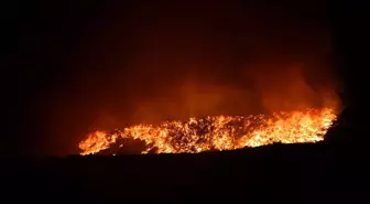 Giresun'da Çöp Toplama Alanında Yangın Kontrol Altına Alındı