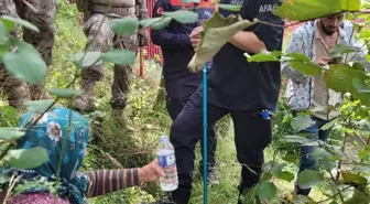 Kaybolan 86 Yaşındaki Zeynep Aydın Fındık Bahçesinde Bulundu