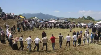 Güce'de İlk 'Otçu Göçü Şenliği' Coşkuyla Gerçekleşti