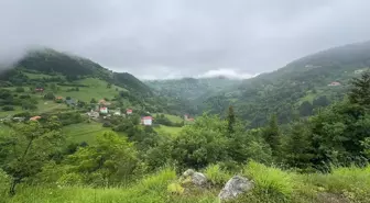 Giresun'da Artan Turizm Hareketliliği Esnafı Sevindiriyor