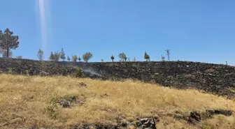 Gölbaşı'nda otluk alanda çıkan yangın söndürüldü