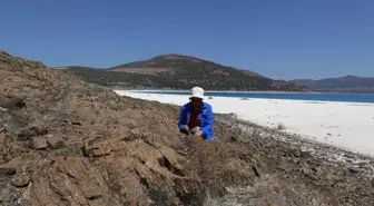 Salda Gölü'nden Mars'a Bilimsel Bağlantı
