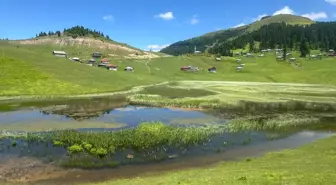 Gölyanı Yaylası, Yeni Turizm Destinasyonu Olma Yolunda