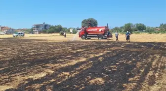 Gömeç'te meydana gelen anız yangını söndürüldü