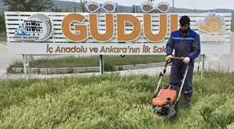Güdül'de Haşereyle Mücadele Hız Kazandı