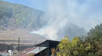 Gümüşhane'de Orman Yangını Kontrol Altına Alındı