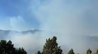 Gümüşhane'de Orman Yangınına Müdahale Başlatıldı