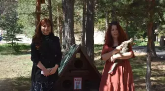 Gümüşhane Üniversitesi'nde Sokak Kedileri İçin 'Kedi Evleri' Kuruldu