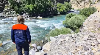 Yüksekova'da Kaybolan Neçir Kom İçin Arama Çalışmaları Yeniden Başladı