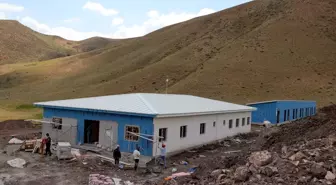 Hakkari'de 1686 Sahipsiz Köpek İçin Barınak ve Doğal Yaşam Alanları Kuruldu