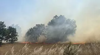 Edirne'de Anız Yangını Sınır Kapısı Yolunu Kapatttı
