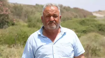 Hatay'da 67 Keçinin Telef Olması Üzerine İnceleme Başlatıldı