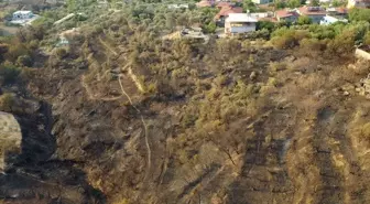 Hatay'daki Orman Yangını Havadan Görüntülendi
