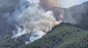 Hatay'da Orman Yangını Kontrol Altına Alındı