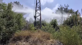İskenderun'da Orman Yangını Kontrol Altına Alındı