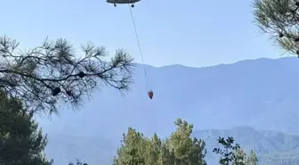 Hatay'da Orman Yangını Kontrol Altına Alındı