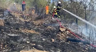 Hatay'ın Arsuz İlçesinde Orman Yangını Söndürüldü
