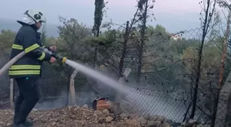 Hatay'da Orman Yangını Kontrol Altına Alındı