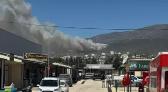 Antakya'da Orman Yangınına Havadan ve Karadan Müdahale