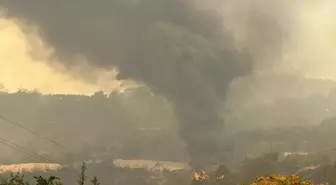 Hatay'da Orman Yangını: 1500 Kişi Tahliye Edildi