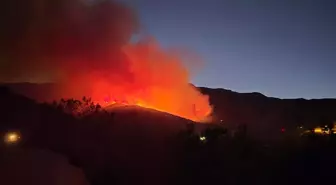 Hatay Hassa'da Orman Yangını Kontrol Altına Alınmaya Çalışıyor