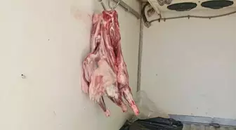 Antakya'da Uygun Koşullarda Taşınmayan 34 Kilogram Bozulmuş Et Ele Geçirildi
