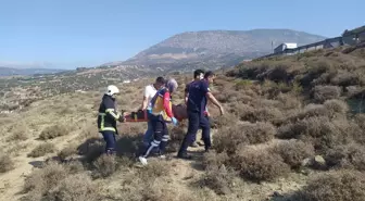 Hatay'da Hafif Ticari Araç Şarampole Devrildi: Sürücü Yaralandı