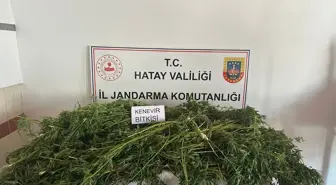 Hatay'da Uyuşturucu Operasyonu: 5 Zanlı Yakalandı
