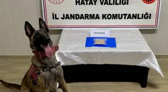 Hatay'da Uyuşturucu ve Kaçakçılık Operasyonu: 23 Gözaltı