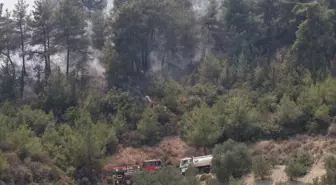 Hatay'da Orman Yangınına Hava ve Karadan Müdahale