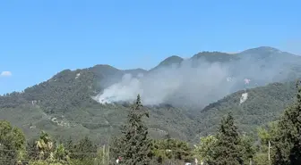 Hatay'da Orman Yangınına Müdahale Devam Ediyor