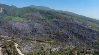 Hatay'daki Orman Yangını Kısmen Kontrol Altına Alındı