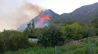 Hatay'da Orman Yangınına Hızla Müdahale Ediliyor