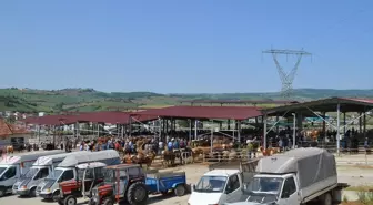 Havza Belediyesi'nden Kurban Bayramı Öncesi ve Sonrası Tedbirler