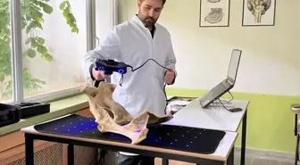 Fırat Üniversitesi'nde Yapay Zeka Destekli Veteriner Eğitimi