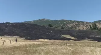 Bitlis Hizan'da Anız Yangını Kontrol Altına Alındı