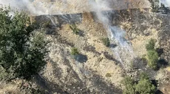 Bitlis'te Anız Yangını Söndürüldü