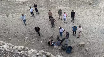 Bitlis'te Tarım Aracının Bariyere Çarpması Sonucu Sürücü Yaralandı