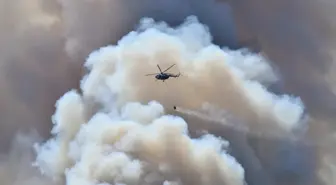 61 Orman Yangını Şüphelisi Gözaltında