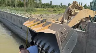 Iğdır'da Dana Sulama Kanalından Kurtarıldı