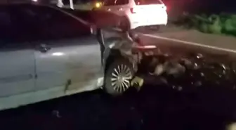 Iğdır'da Hayvan Sürüsüne Otomobil Çarptı, 25 Koyun Telef Oldu